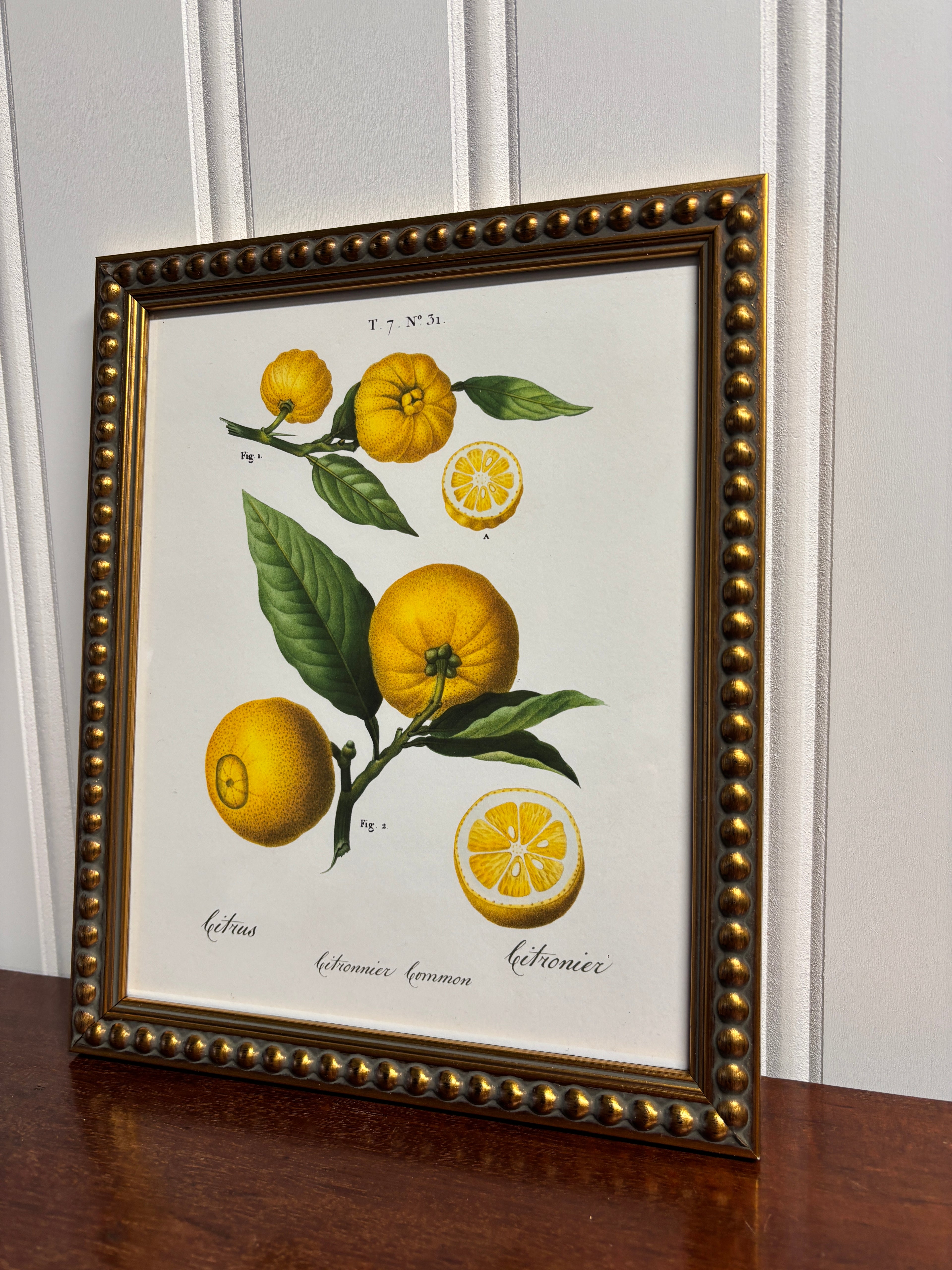 Vintage Lemons Artwork- Gold Bead Frame