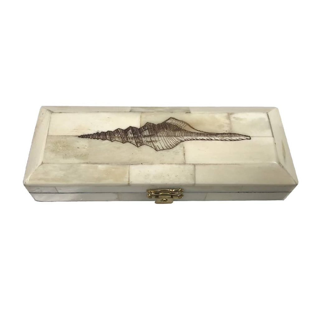Whelk Scrimshaw Bone Postage Stamp Box | Desk essentials
