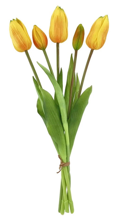 Yellow Tulip Bunch