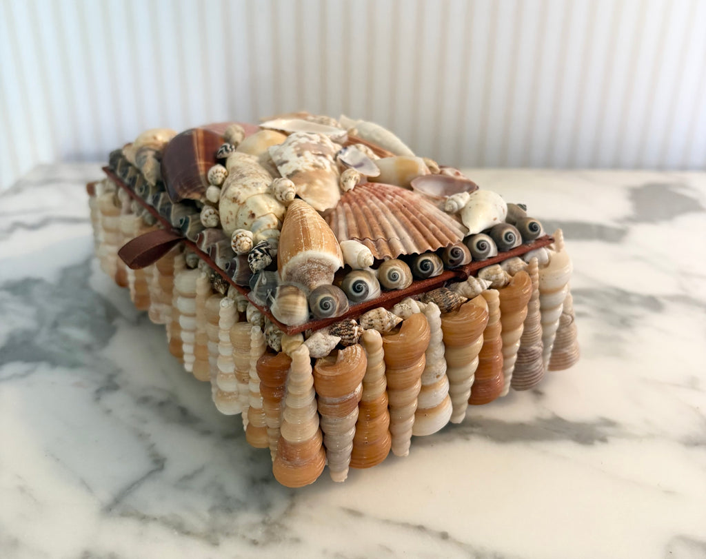 Multicolor Shell Box
