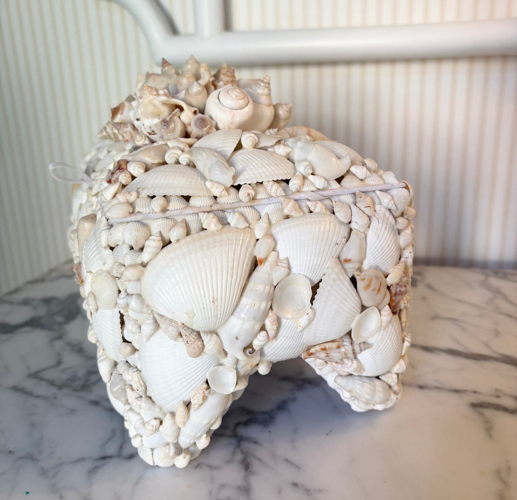 Large White Shell Box