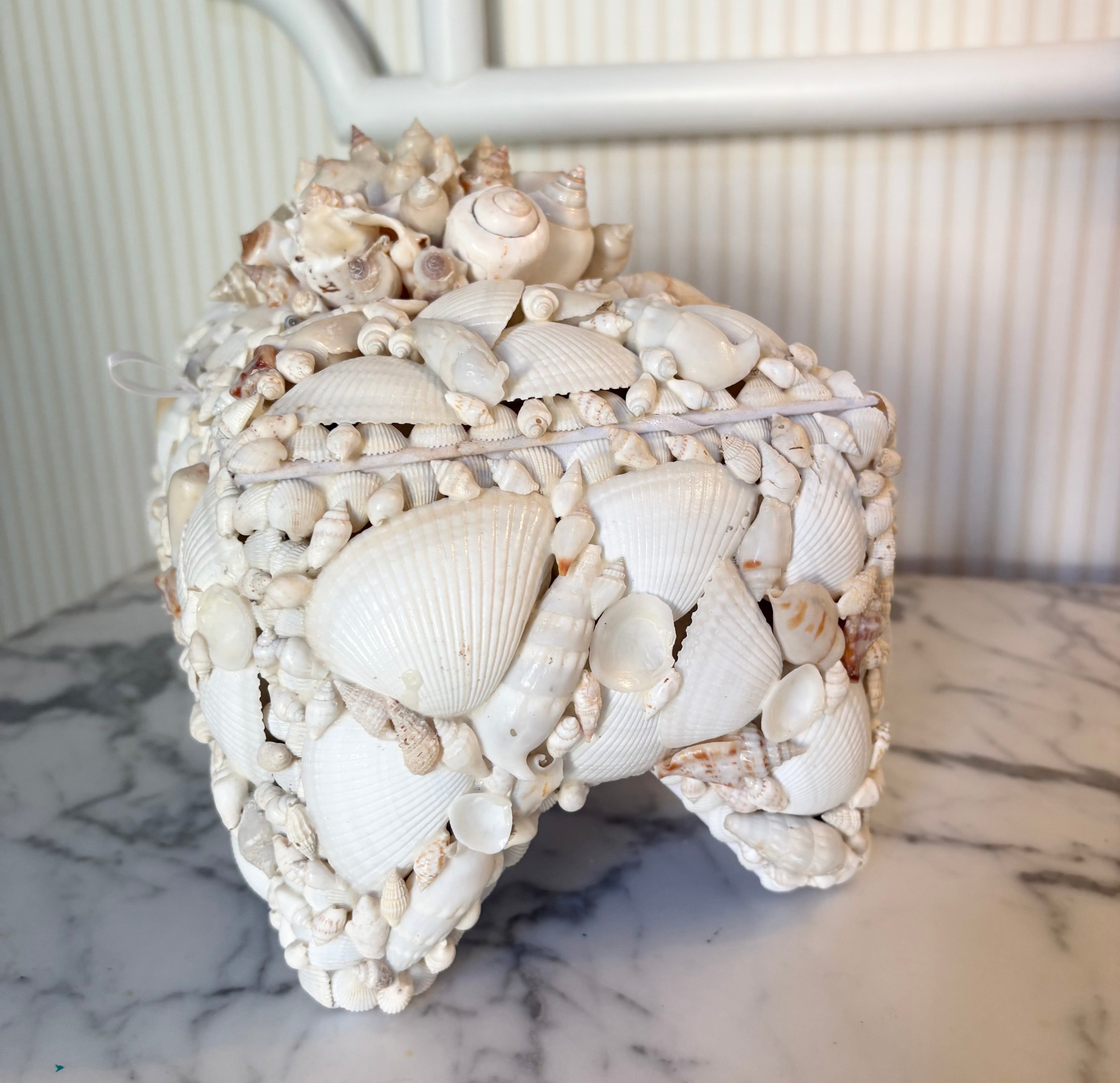 Large White Shell Box