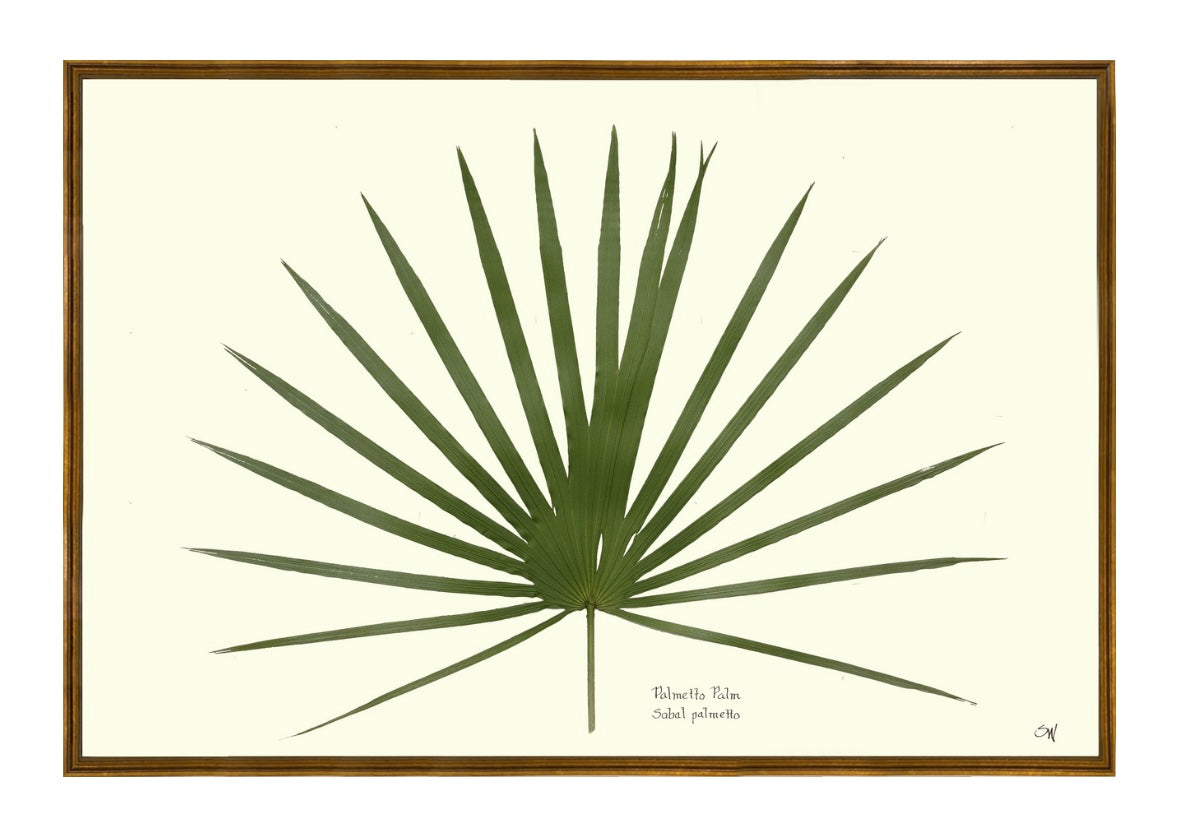 BOHEME Palm Print