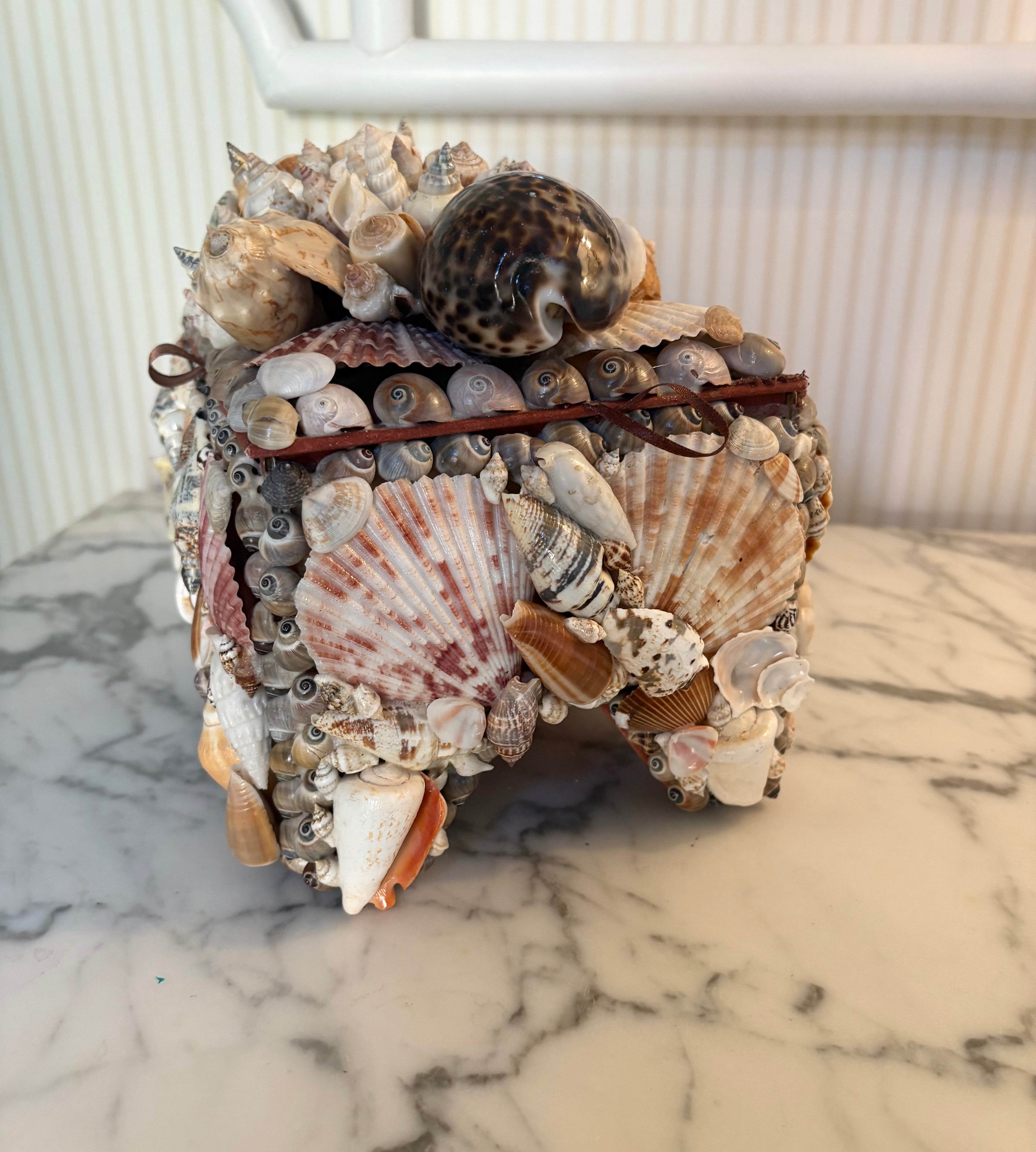 Large Multicolor Shell Box