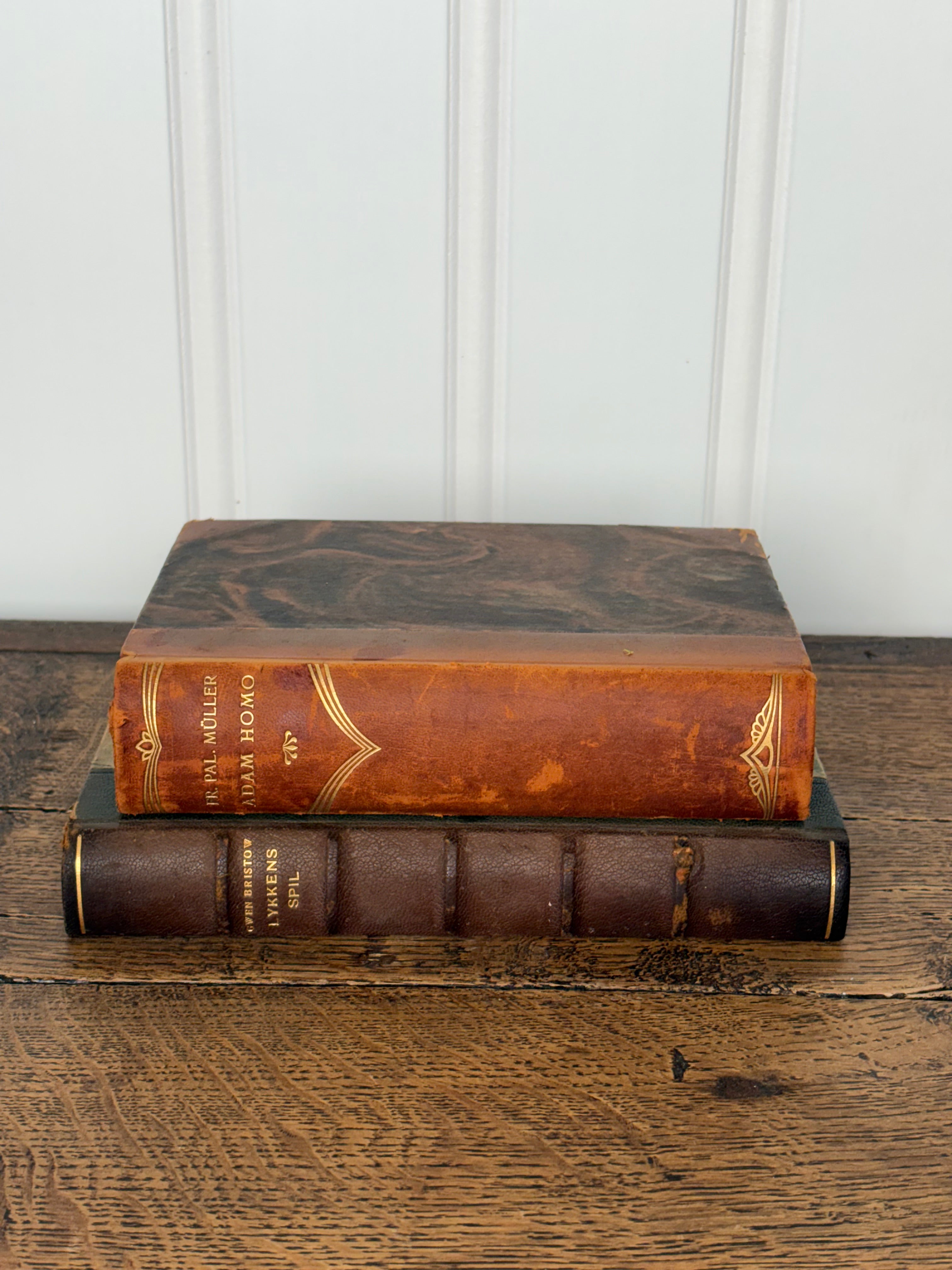 Antique Book Set