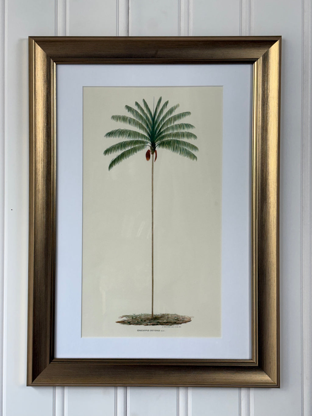 Large Palm Print