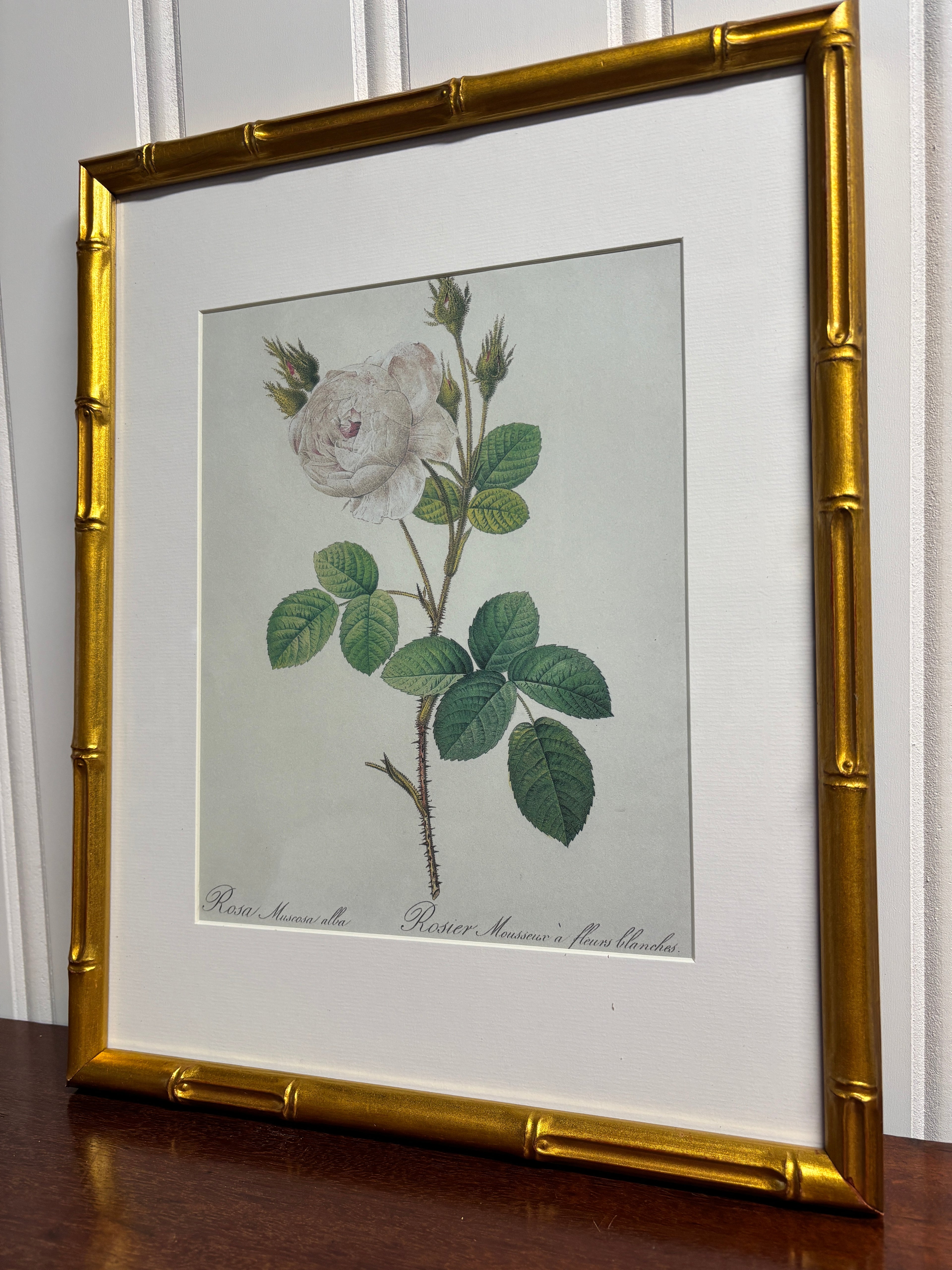 White Rose Floral Antique Print- Gold Bamboo Frame