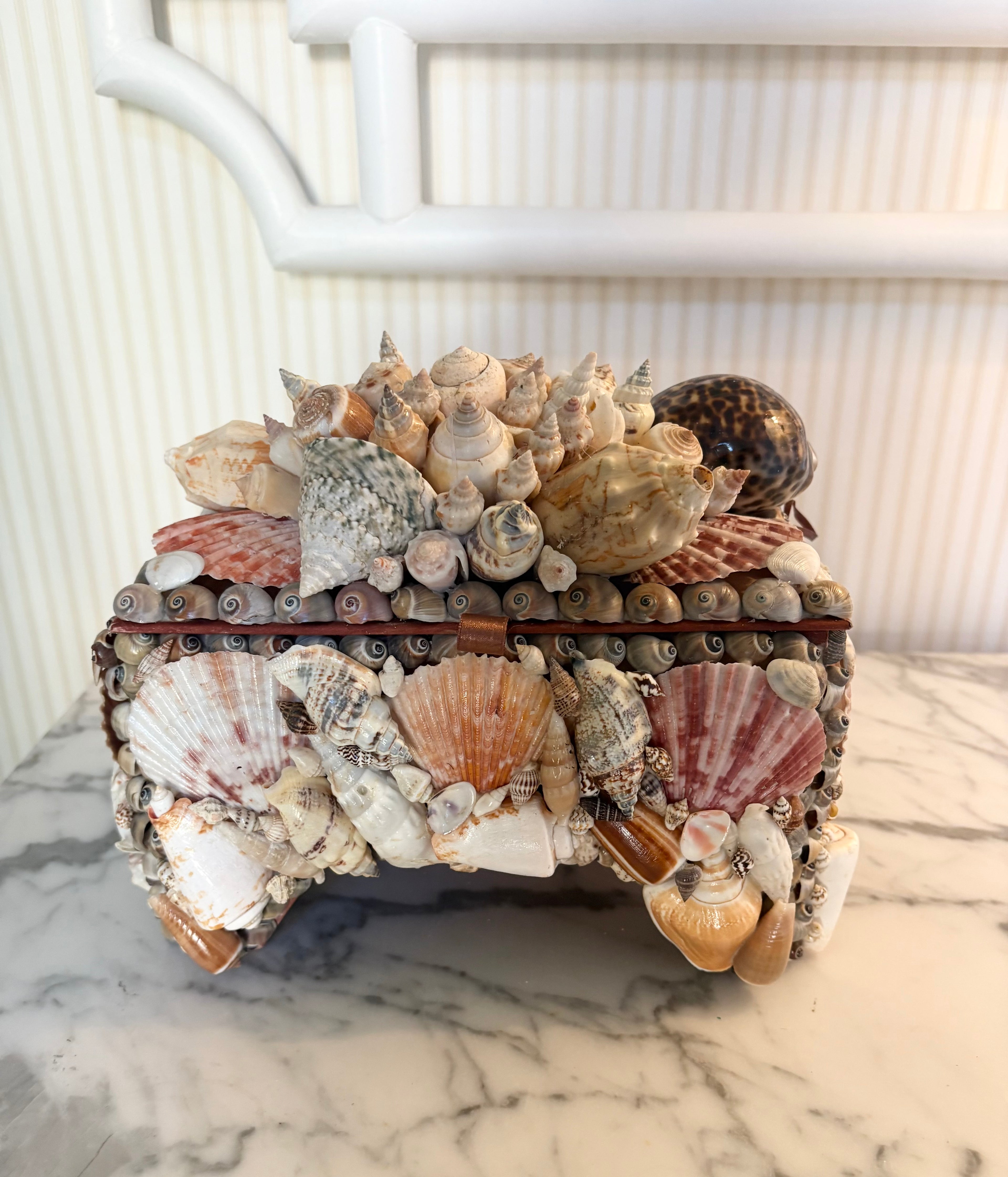 Large Multicolor Shell Box