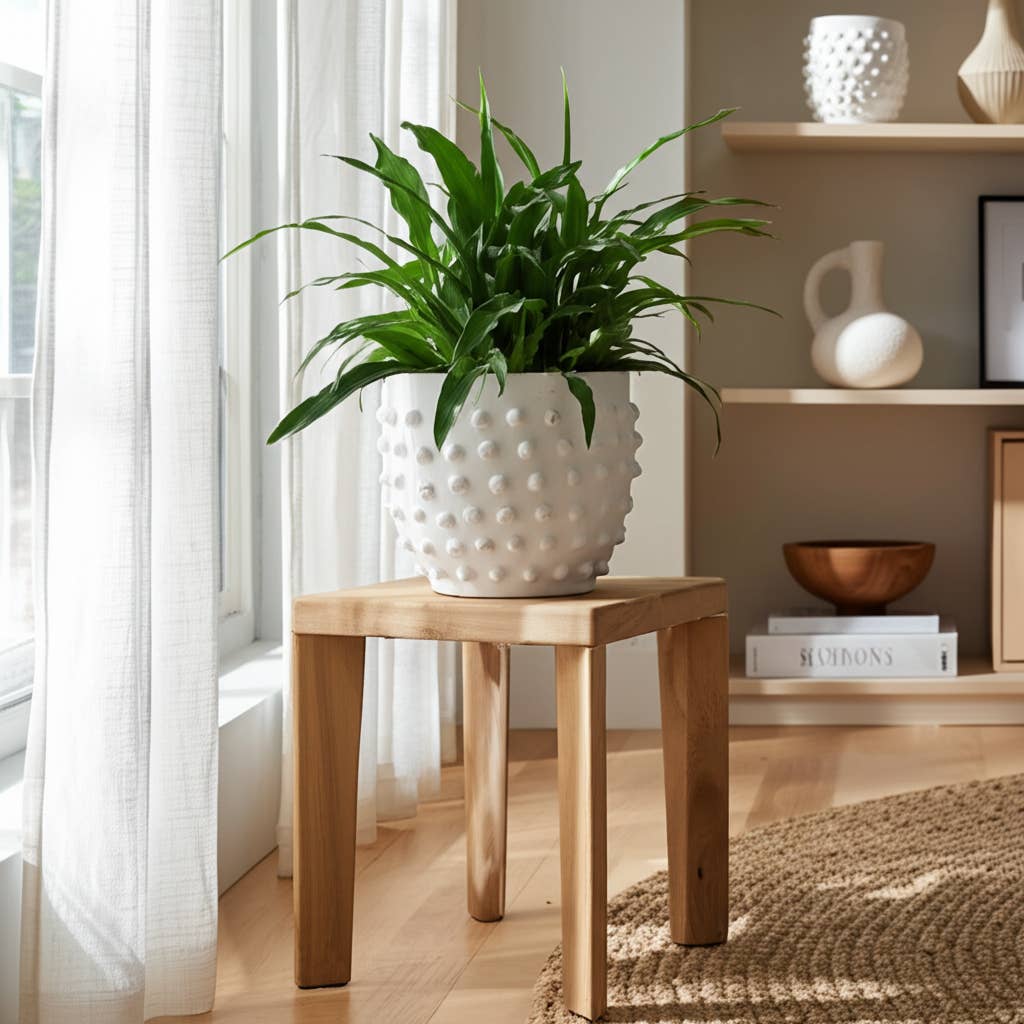 Ceramic Raised Dot Planter