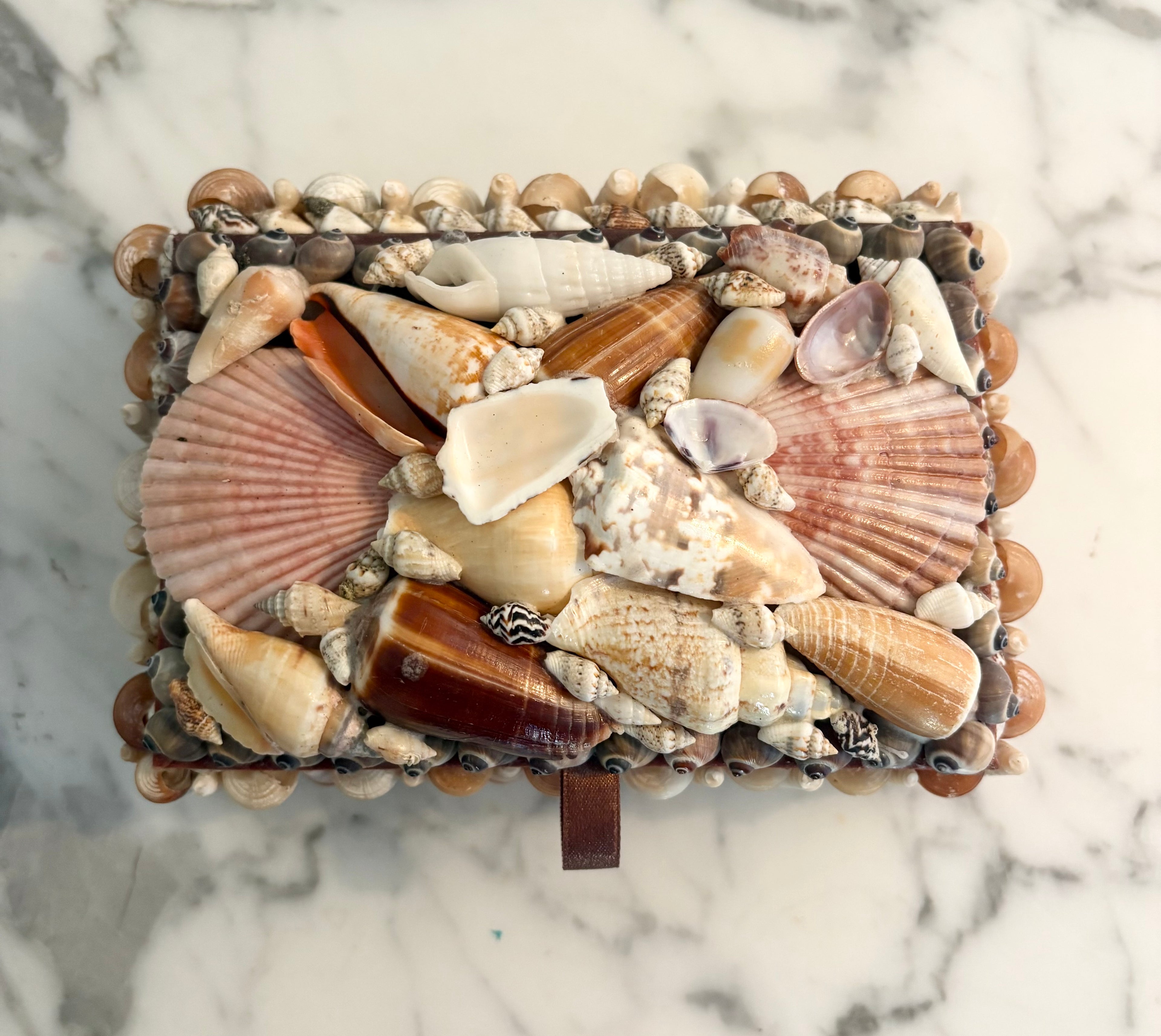Multicolor Shell Box