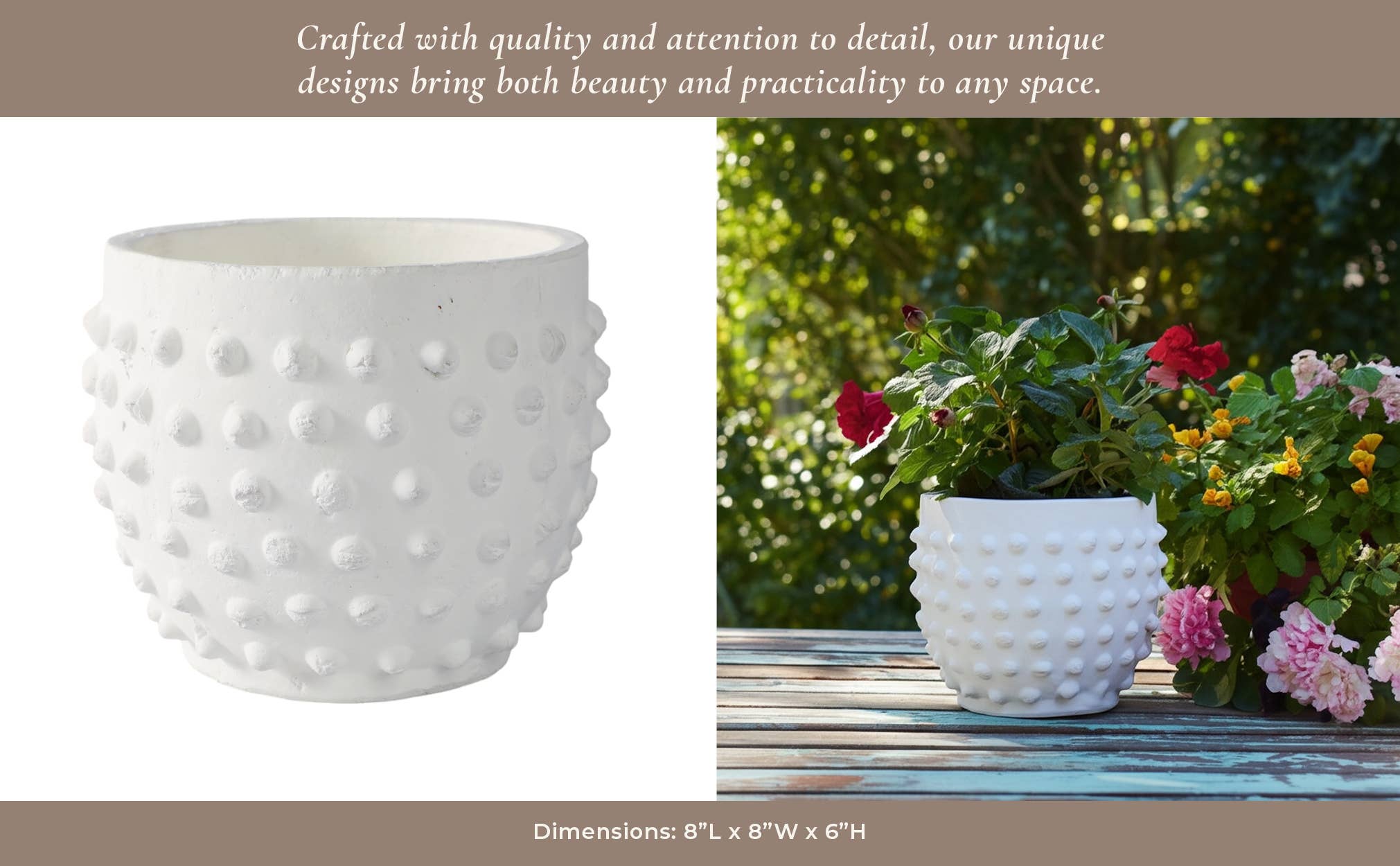 Ceramic Raised Dot Planter