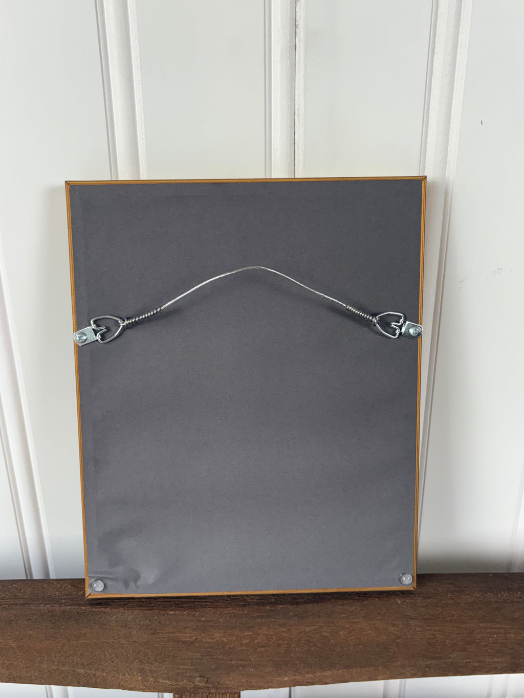 Framed Coral Art