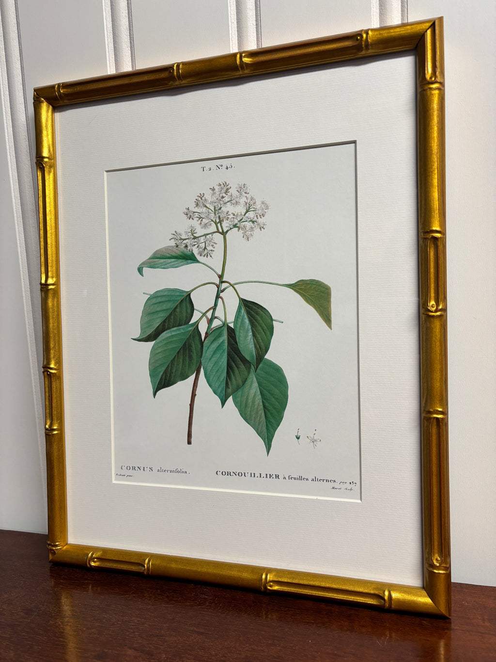 White Floral Antique Print- Gold Bamboo Frame