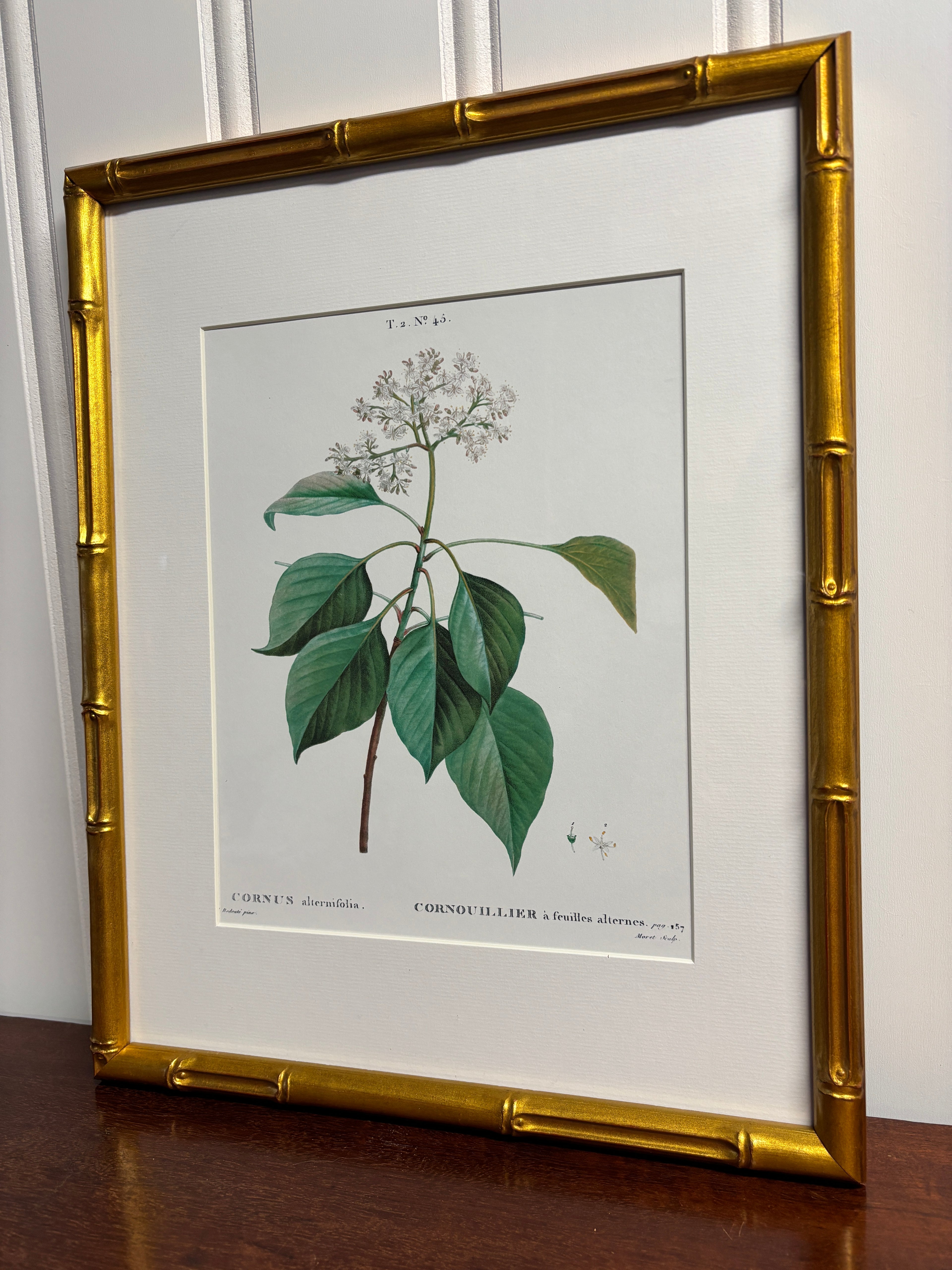 White Floral Antique Print- Gold Bamboo Frame