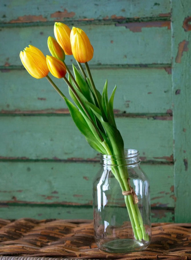 Yellow Tulip Bunch