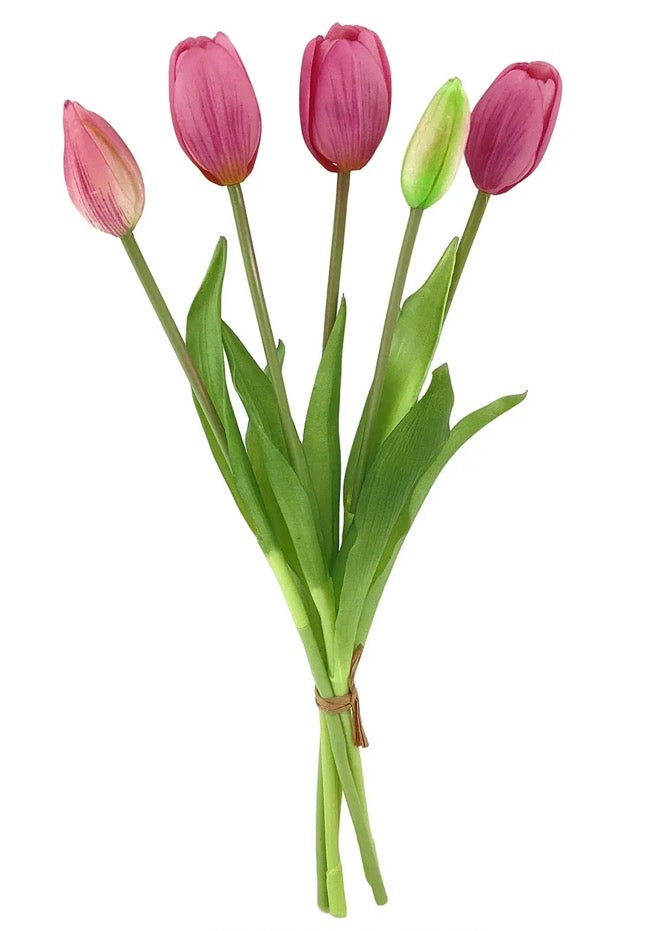 Pink Tulip Bunch