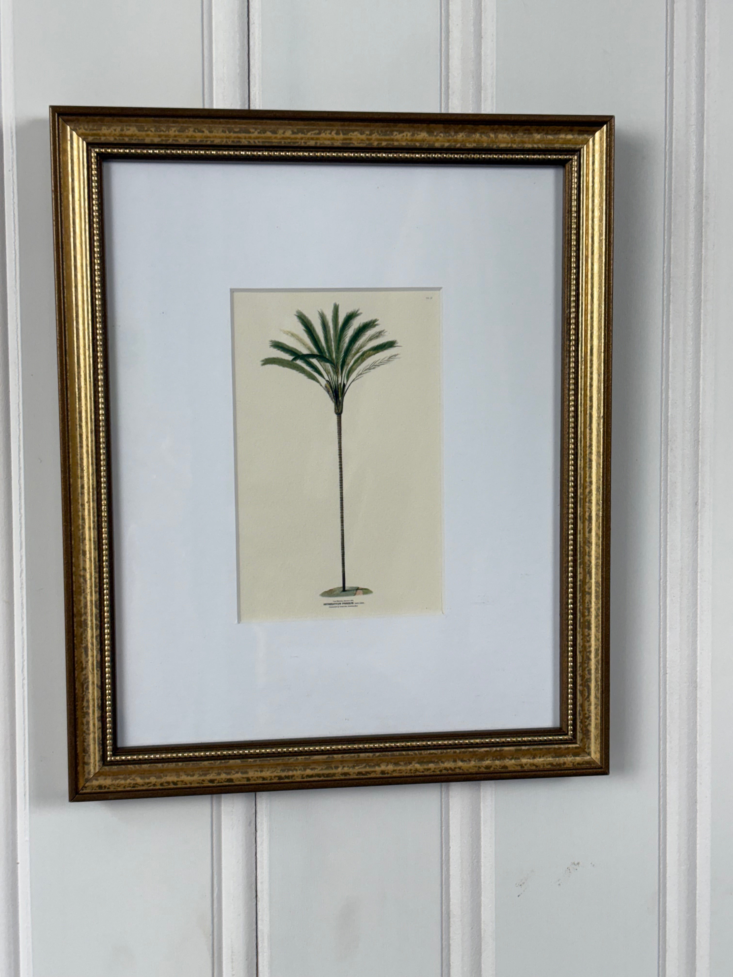 Mini Palm Print, #2