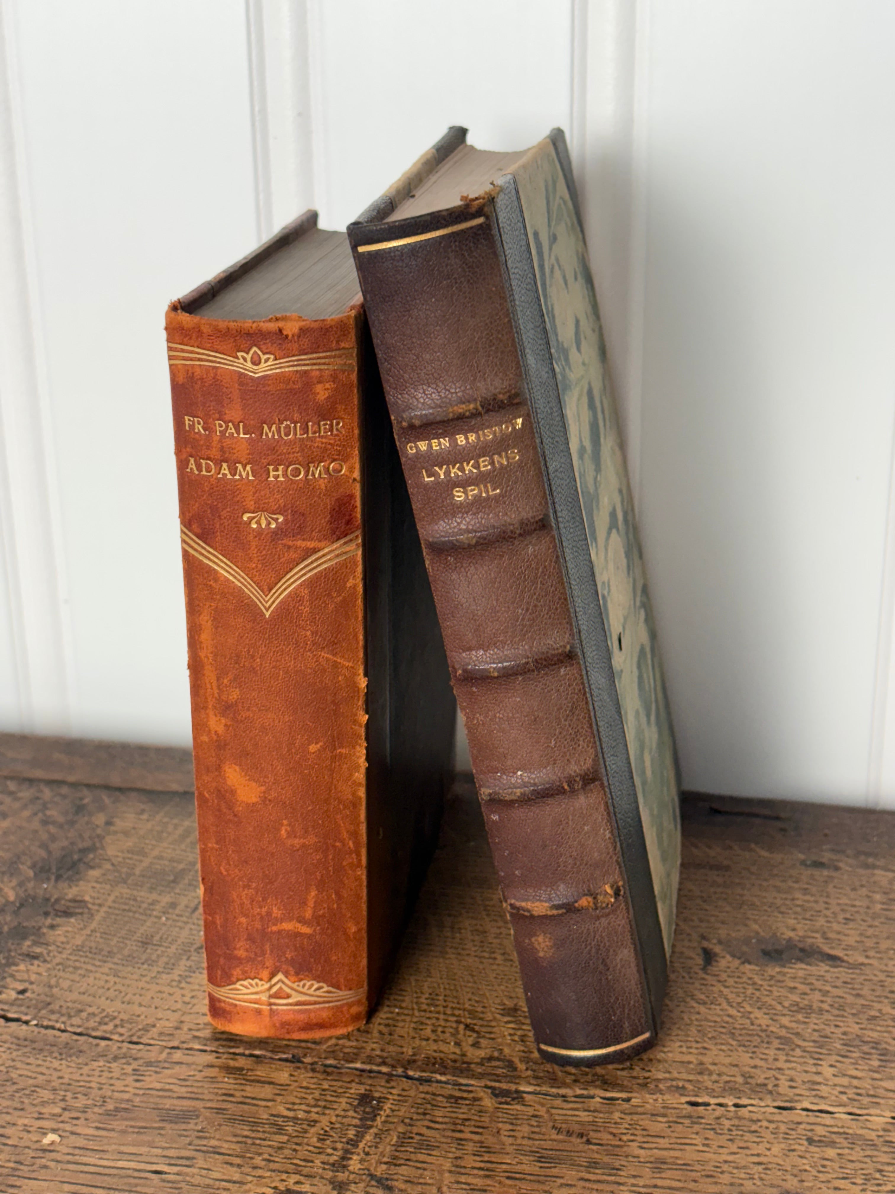 Antique Book Set