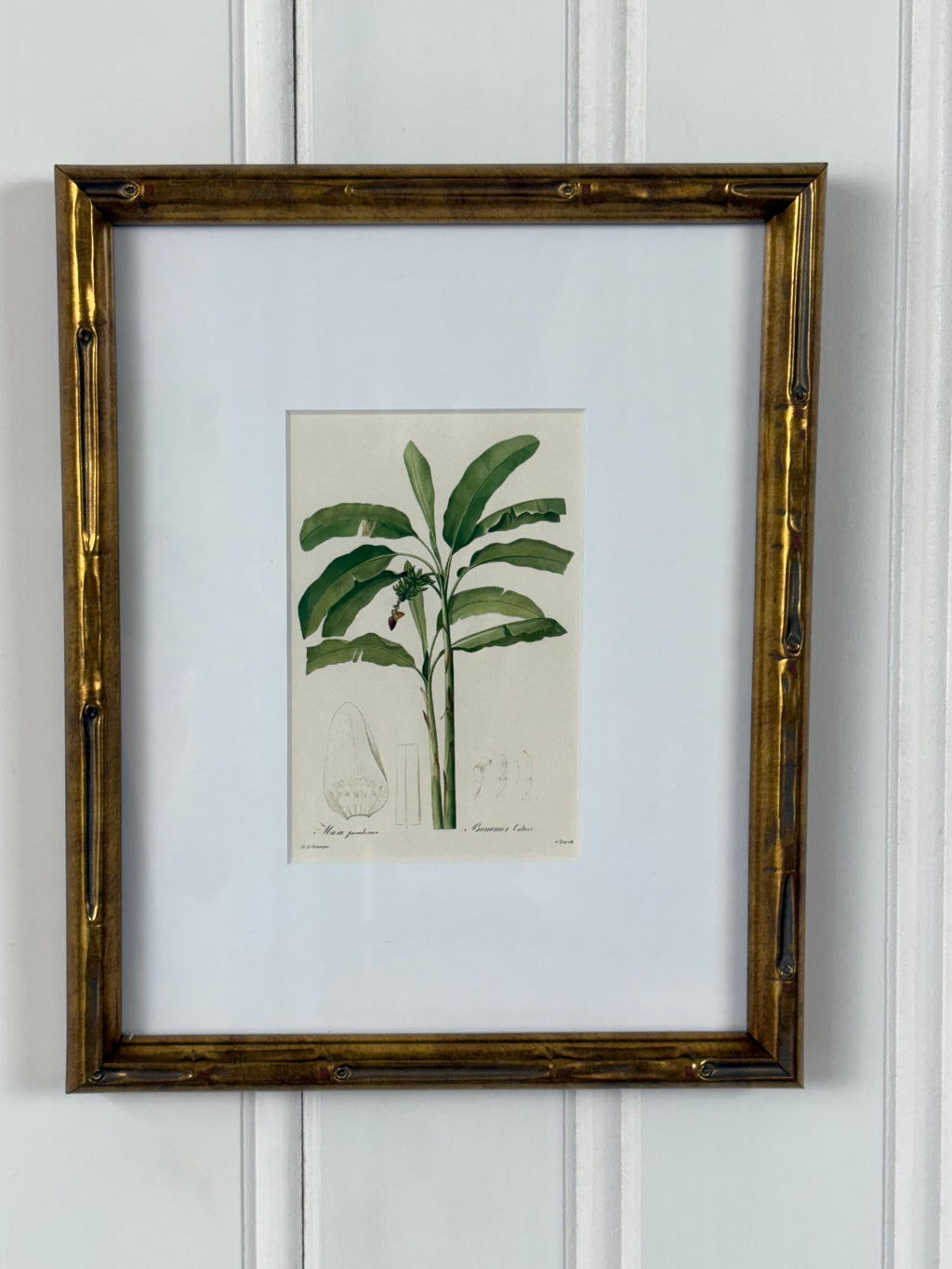 Tropical Plant Art, #1