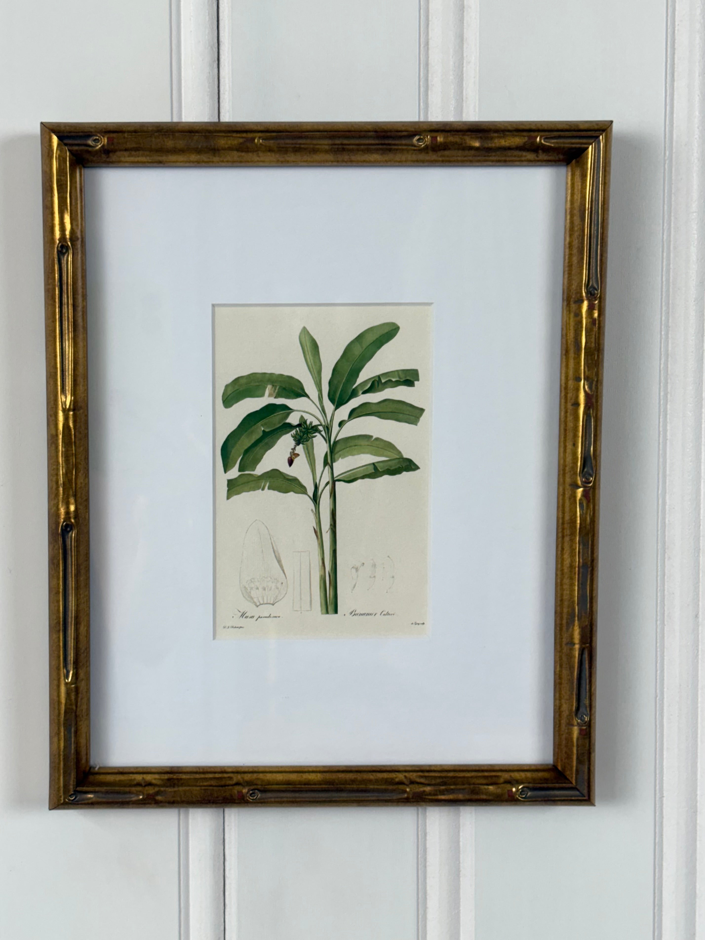 Tropical Plant Art, #1