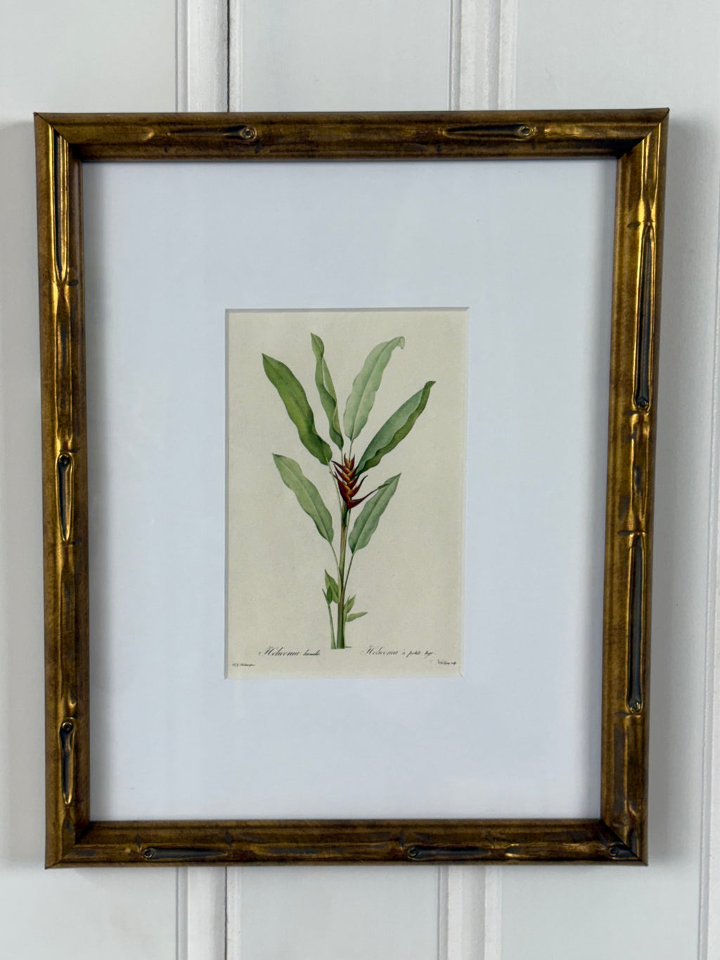 Tropical Plant Art, #2