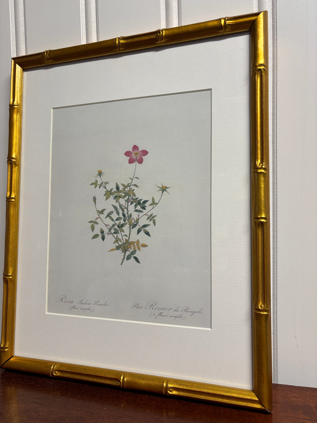 Petite Pink Floral Antique Print- Gold Frame