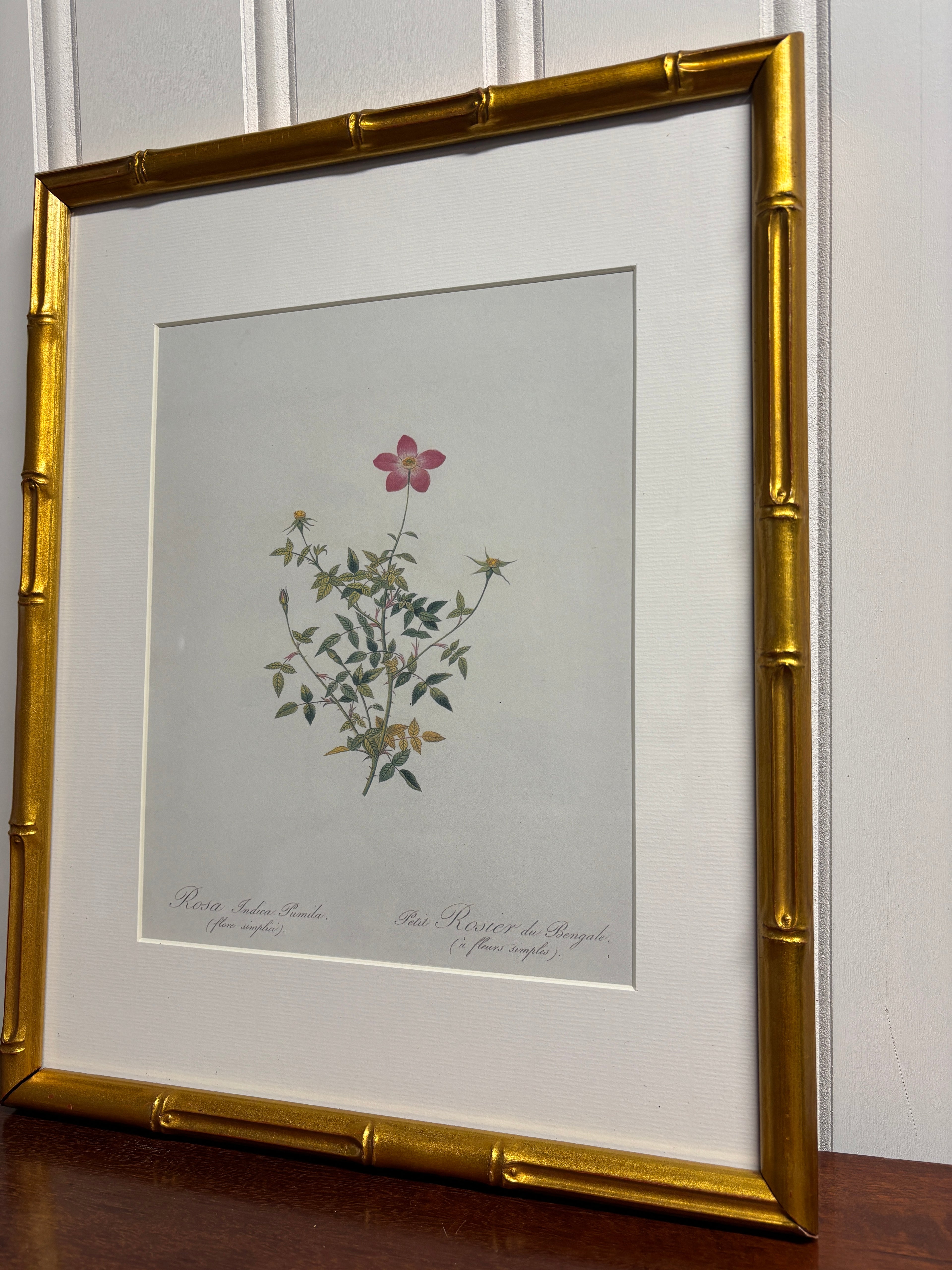 Petite Pink Floral Antique Print- Gold Frame