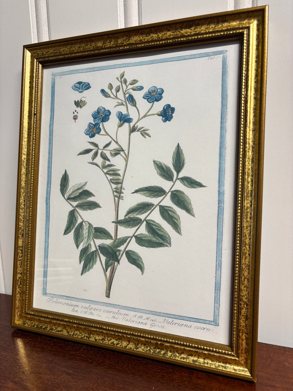 18th Century Blue Florals Print- Gold Frame