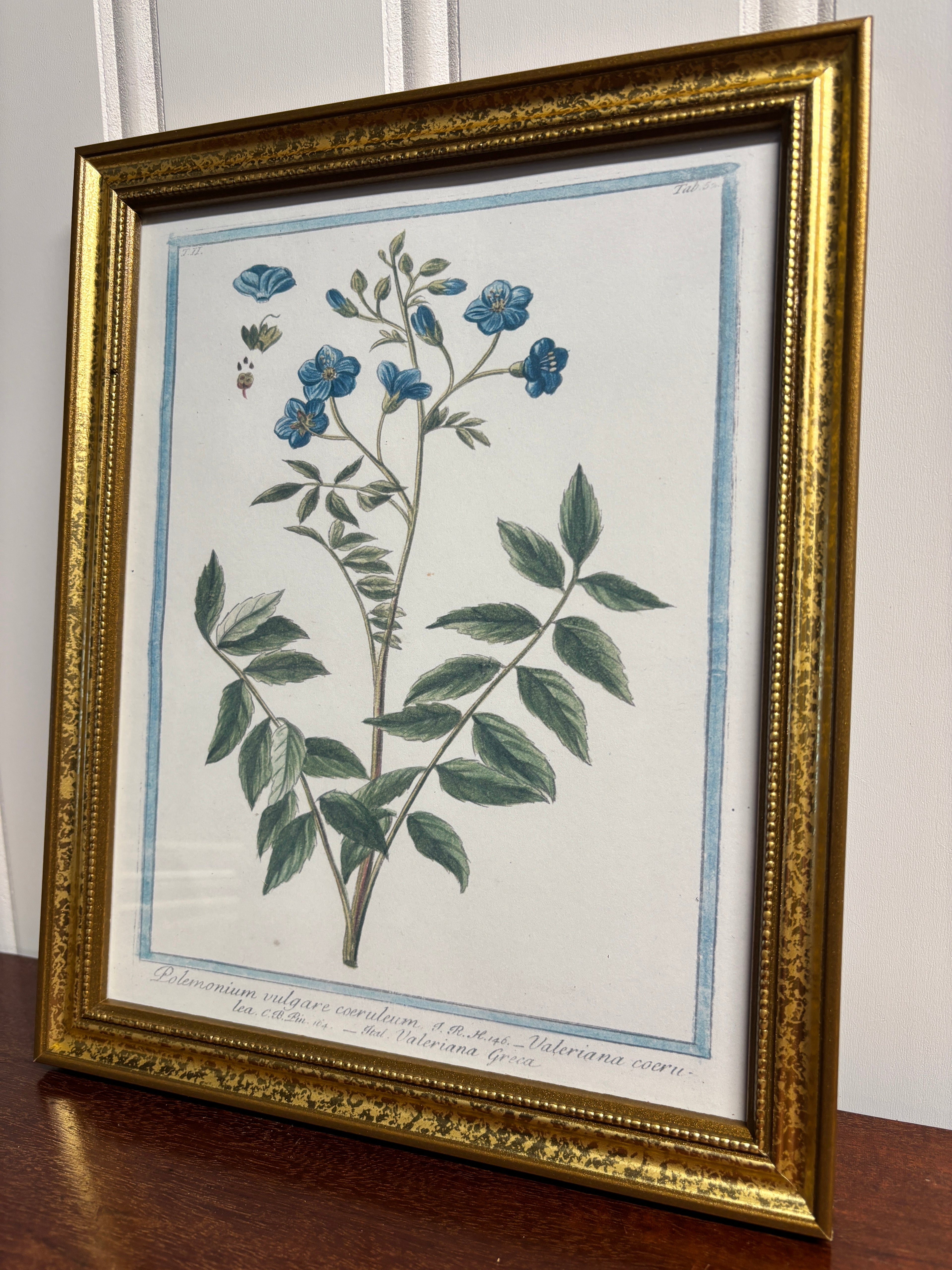18th Century Blue Florals Print- Gold Frame