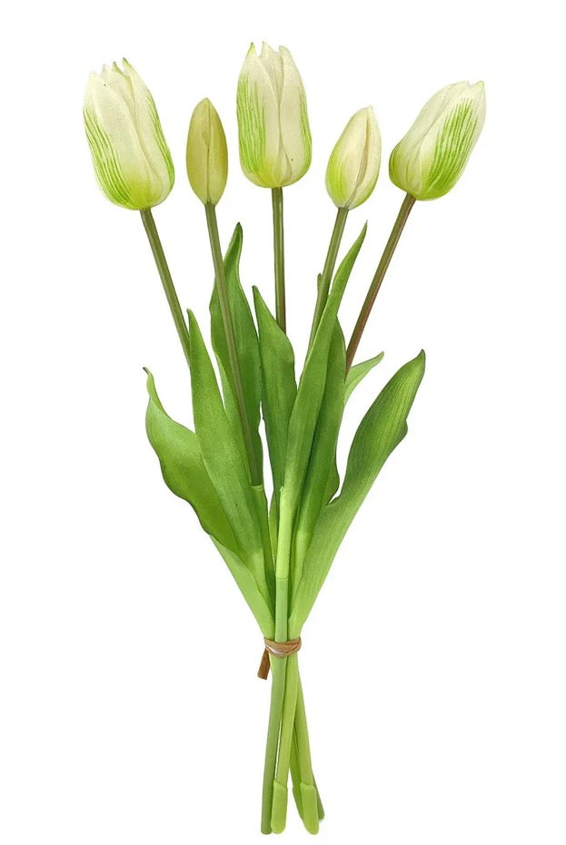 White & Green Tulip Bunch