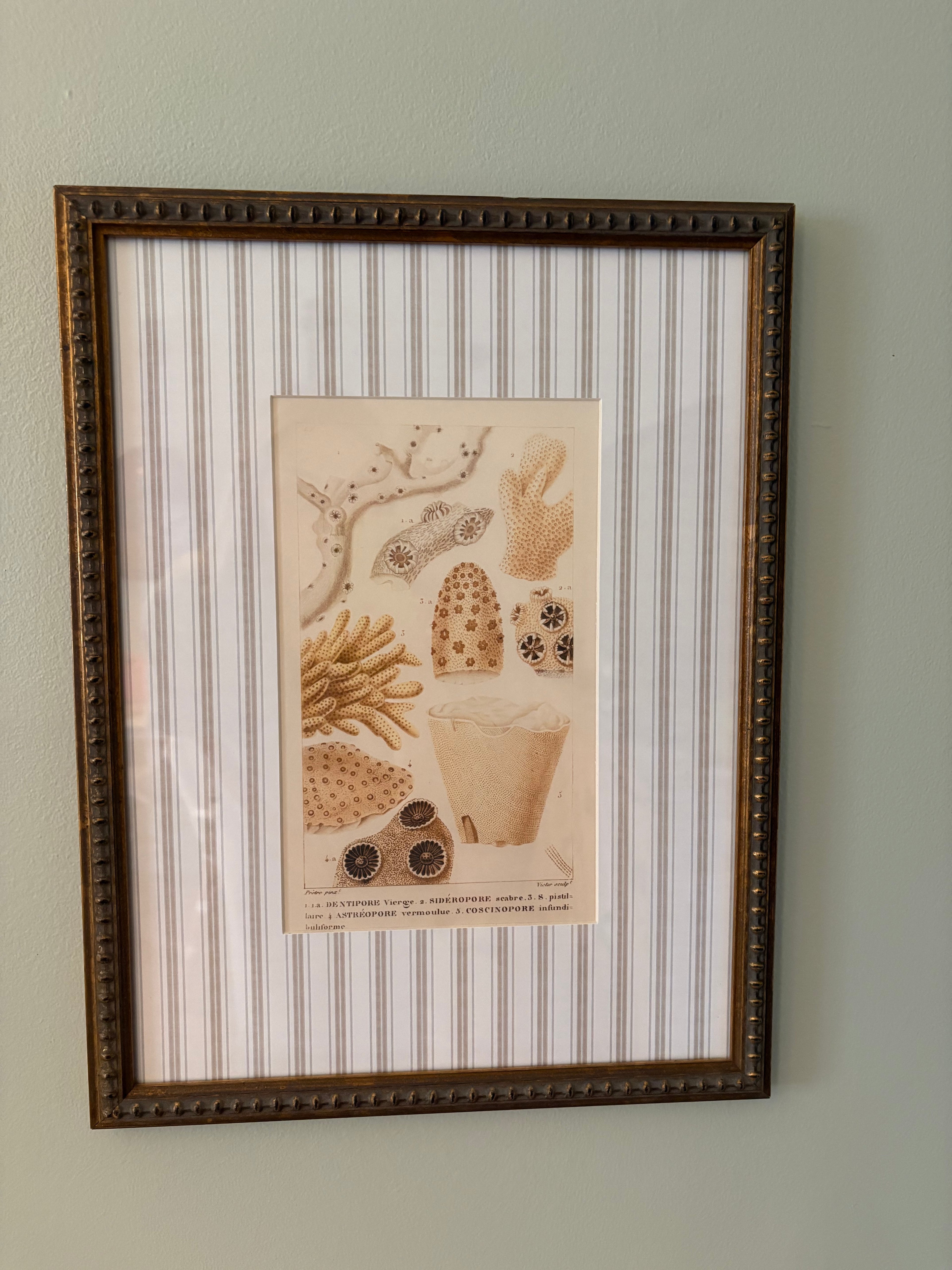 Striped Matting Print, 9 Sea Creatures