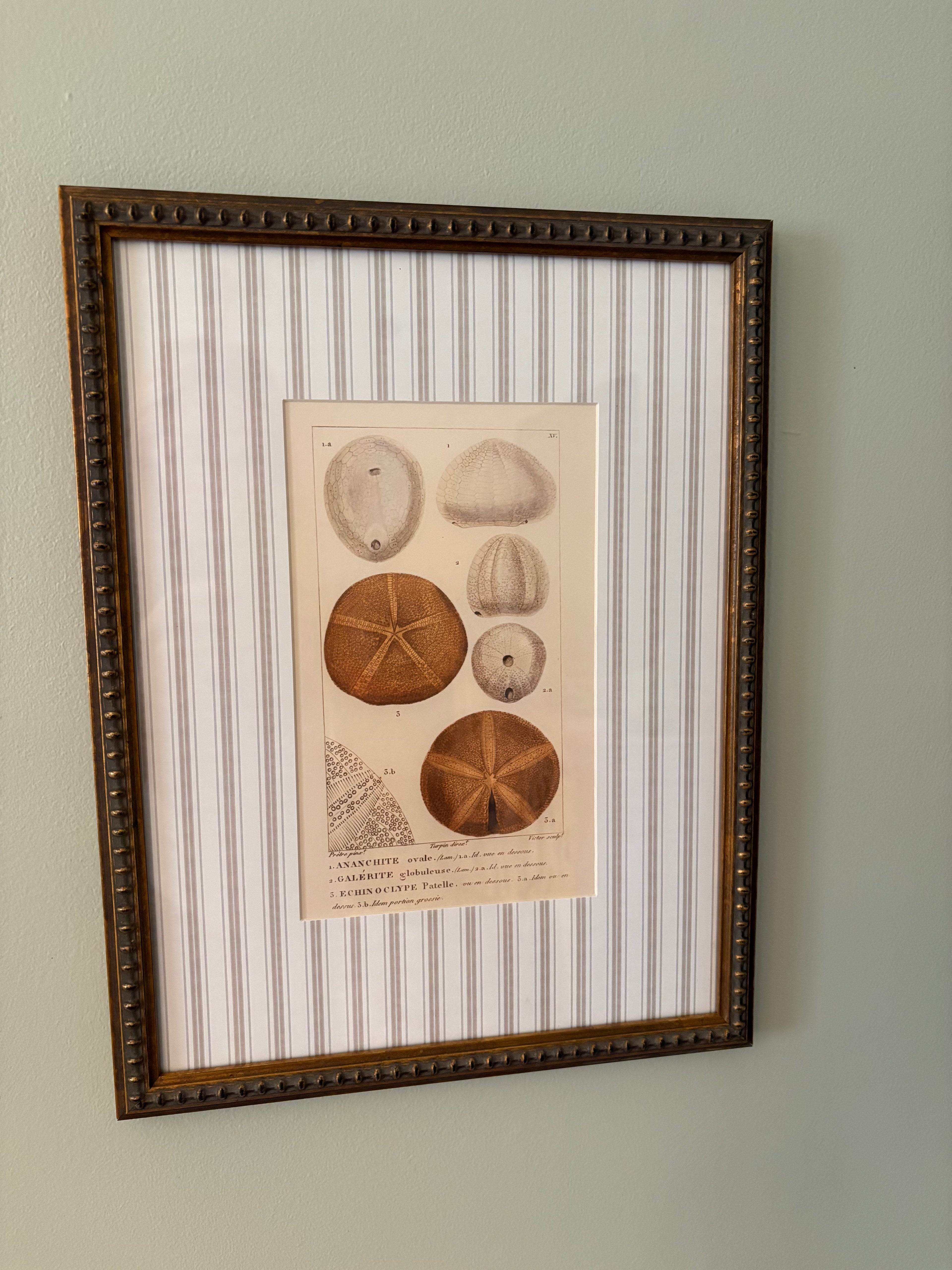 Striped Matting Print, 7 Sea Creatures