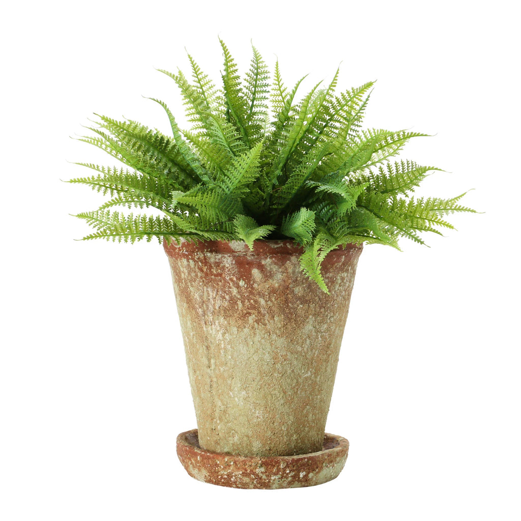 Distressed Cement Planter
