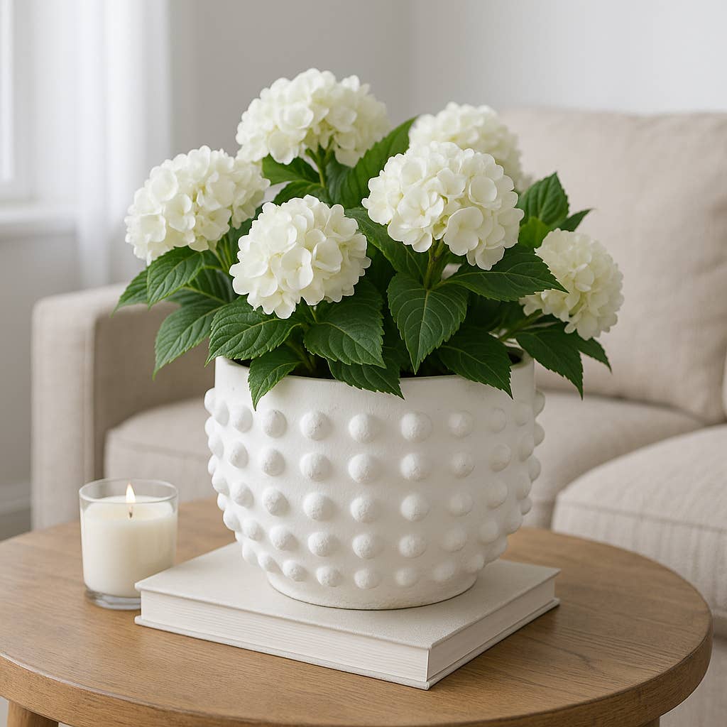 Ceramic Raised Dot Planter